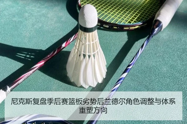 尼克斯复盘季后赛篮板劣势后兰德尔角色调整与体系重塑方向 | pg